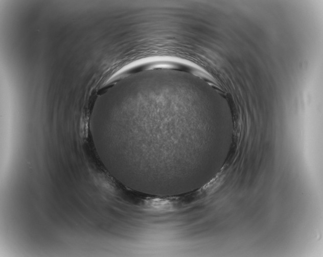 X0000086880180200704300944