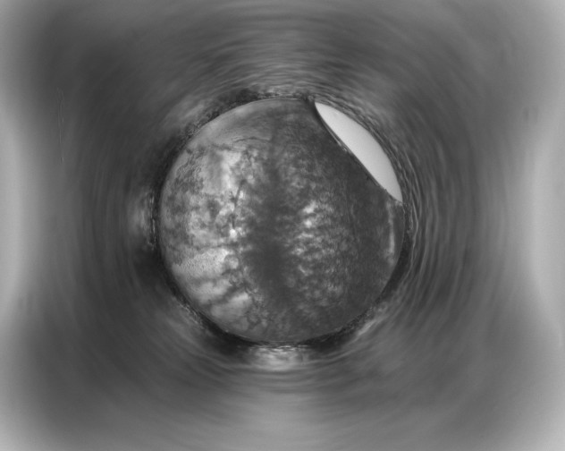 X0000086880181200704300944