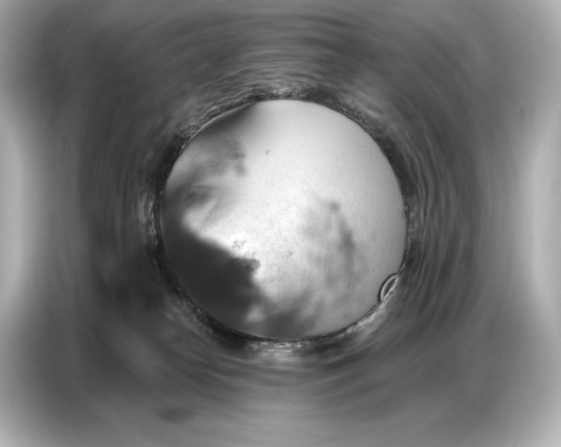 X0000086880182200704300944