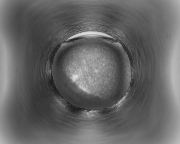 X0000086880186200704300944