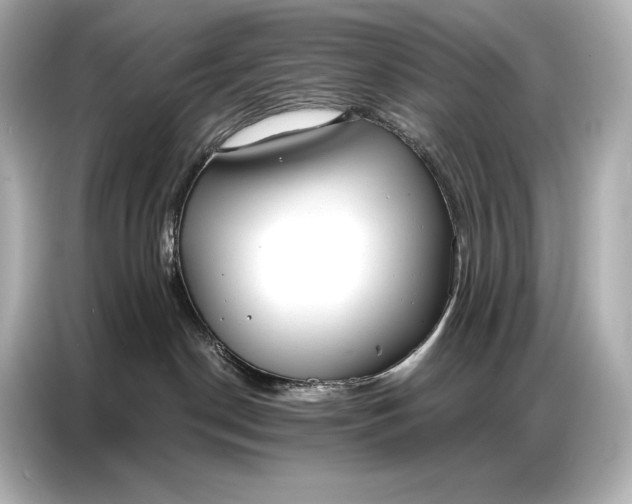 X0000086880190200704300944