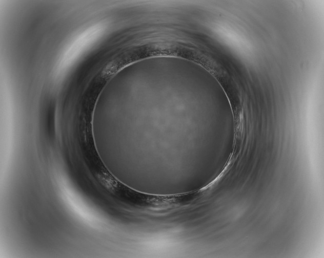 X0000086880191200704300944