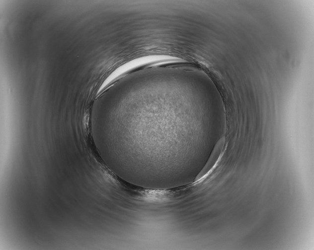 X0000086880192200704300944