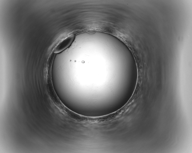 X0000086880194200704300943