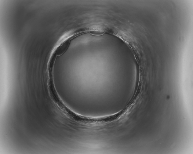 X0000086880198200704300943