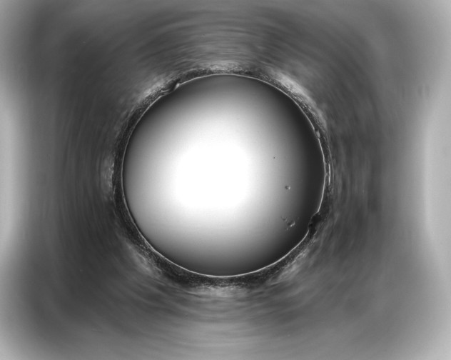 X0000086880201200704300943