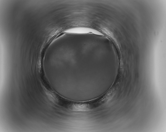 X0000086880202200704300943