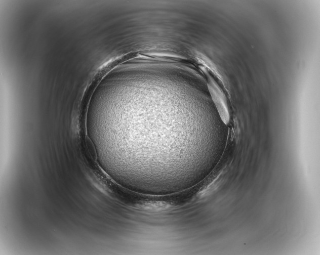 X0000086880203200704300943