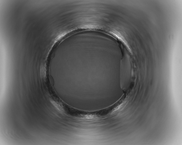 X0000086880204200704300943