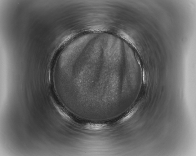 X0000086880205200704300943