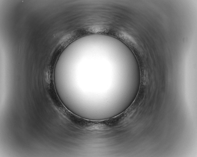 X0000086880210200704300943