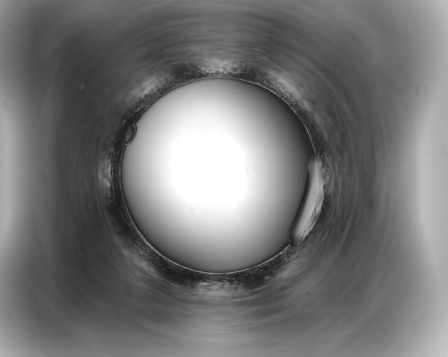 X0000086880211200704300943