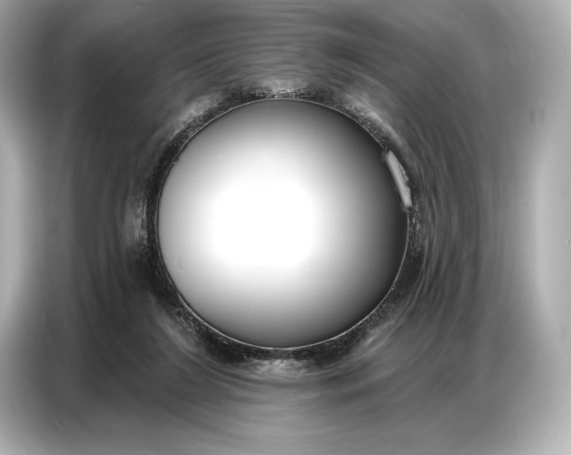 X0000086880212200704300943