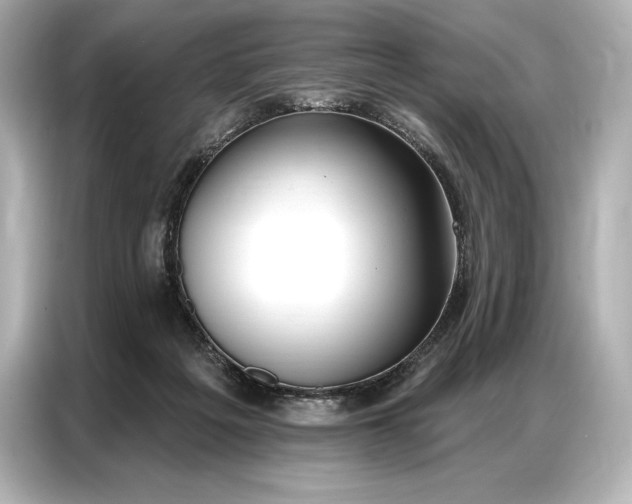 X0000086880217200704300943