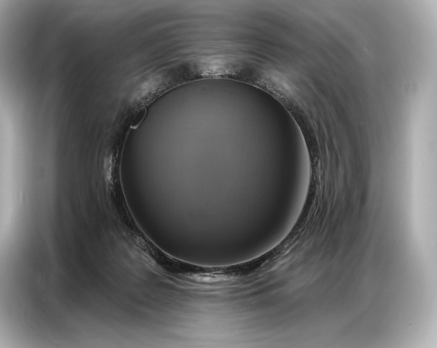 X0000086880219200704300943