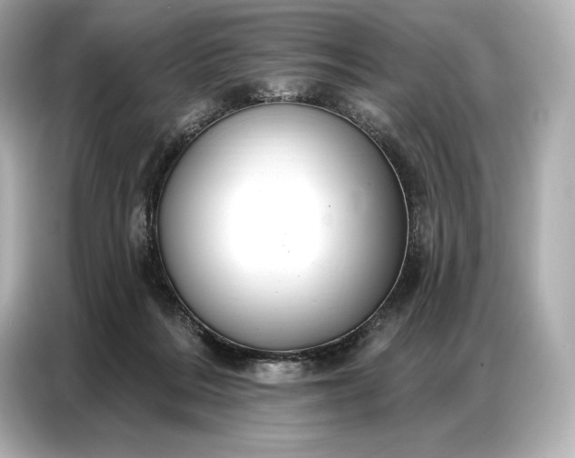 X0000086880220200704300943