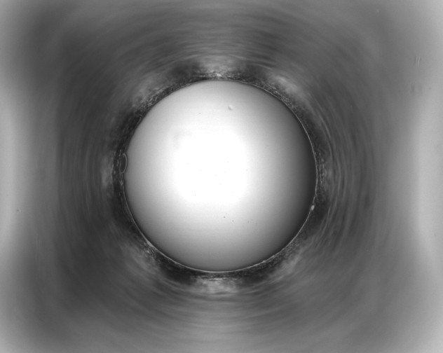 X0000086880221200704300943