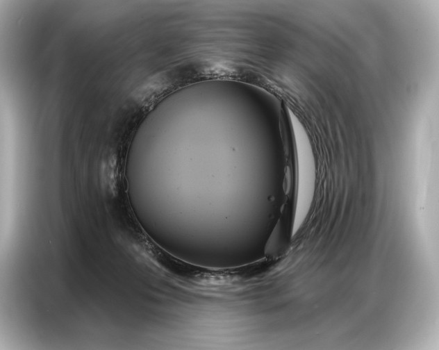 X0000086880223200704300943