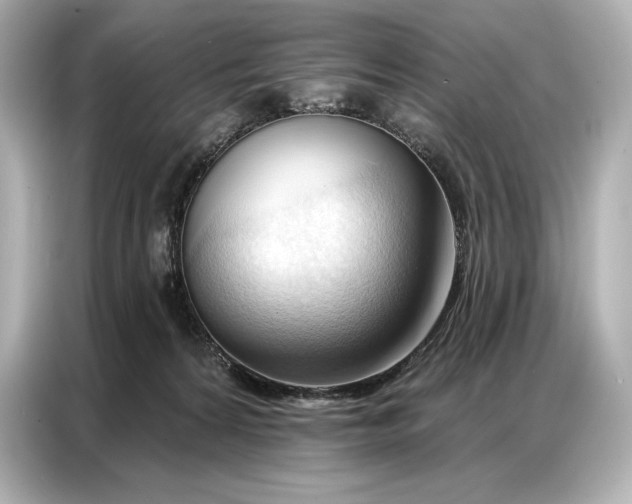 X0000086880224200704300943