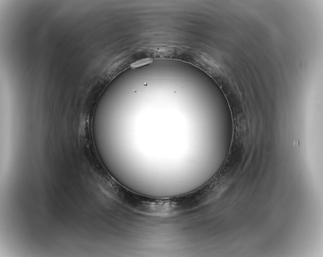 X0000086880225200704300943