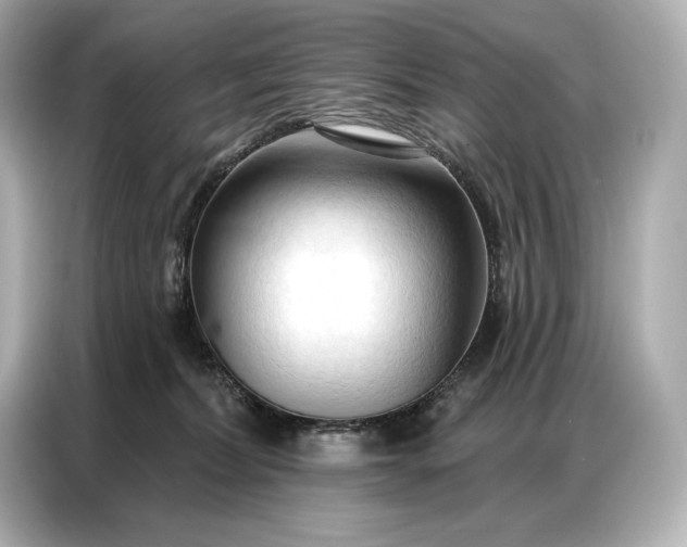 X0000086880228200704300943