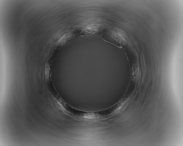 X0000086880231200704300943