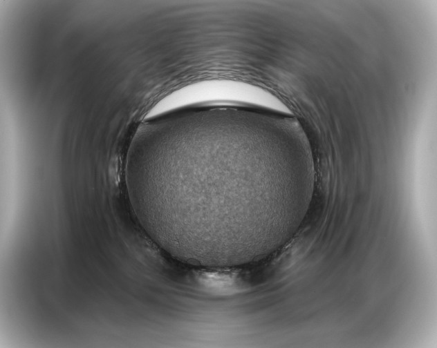 X0000086880232200704300943