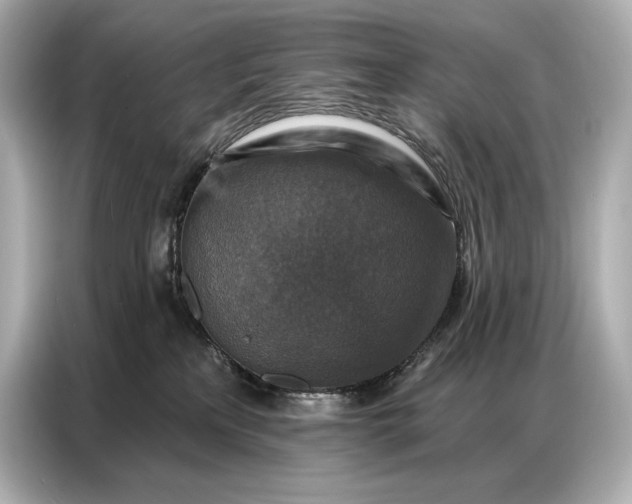 X0000086880233200704300943