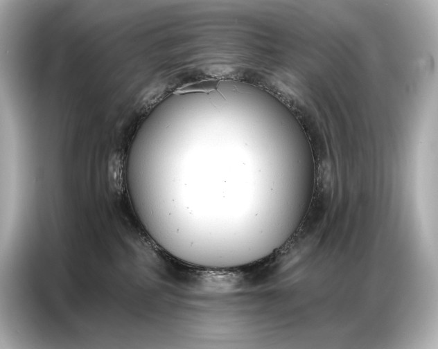 X0000086880234200704300943