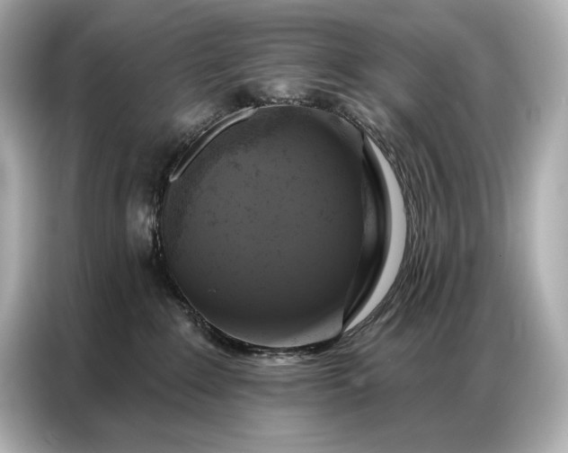 X0000086880235200704300943