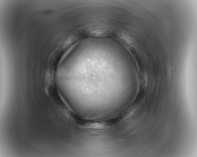 X0000086880236200704300943