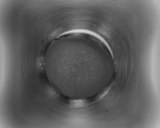 X0000086880237200704300943