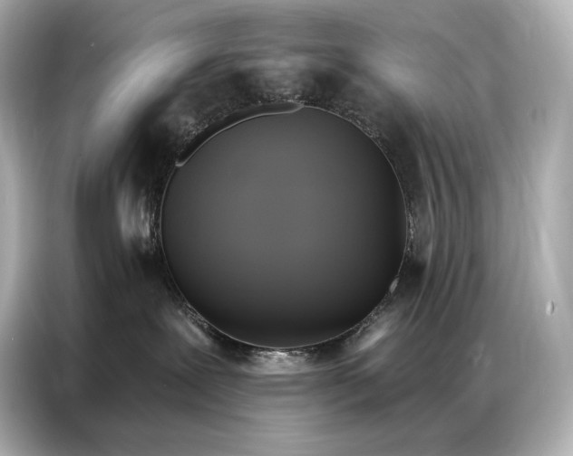 X0000086880239200704300943