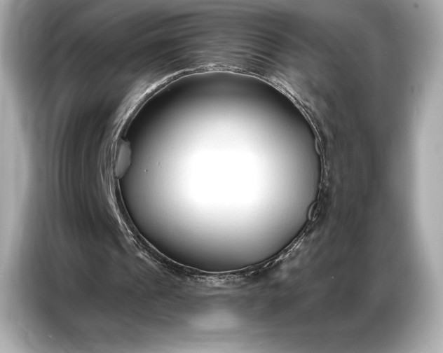 X0000086880241200704300942