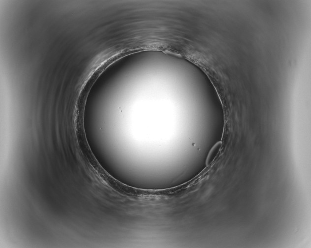 X0000086880242200704300942