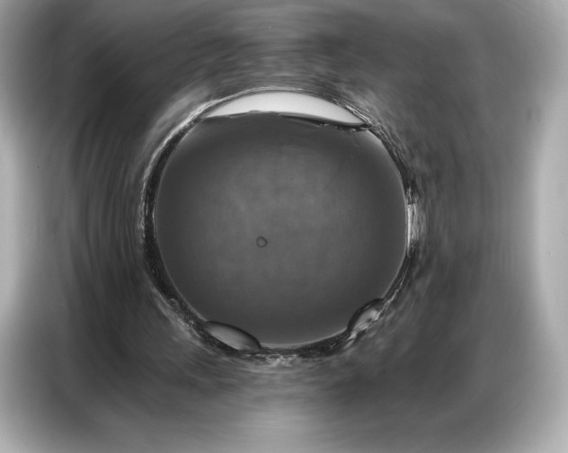 X0000086880243200704300942