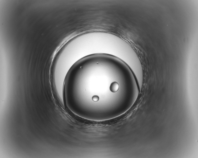 X0000086880244200704300942