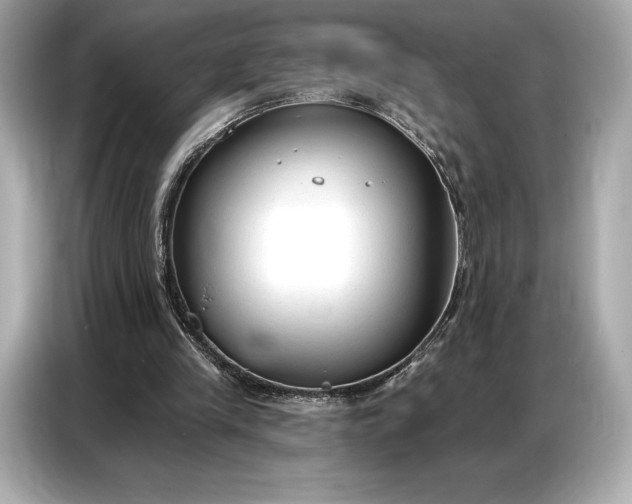 X0000086880245200704300942