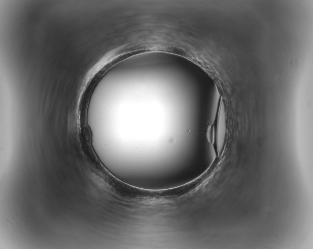 X0000086880246200704300942