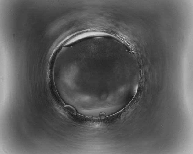 X0000086880247200704300942