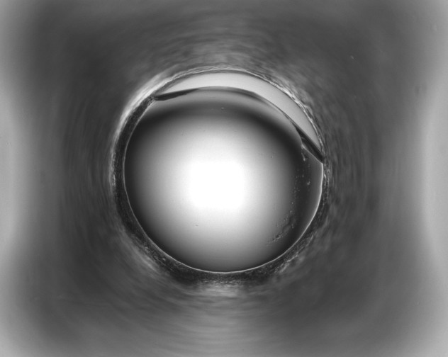 X0000086880248200704300942