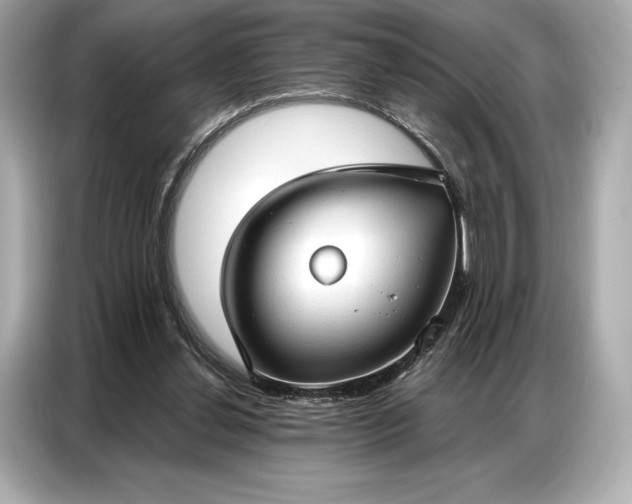 X0000086880252200704300942