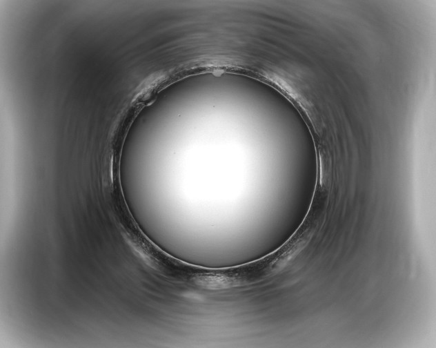 X0000086880253200704300942