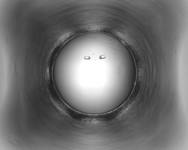 X0000086880254200704300942