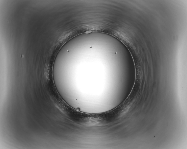 X0000086880255200704300942