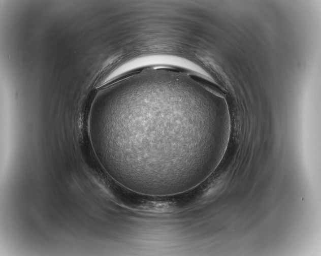 X0000086880260200704300942