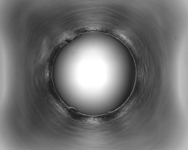 X0000086880261200704300943