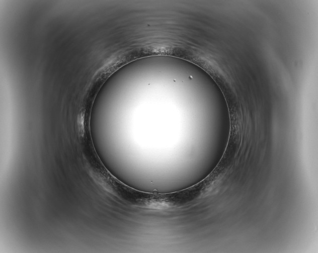 X0000086880262200704300943