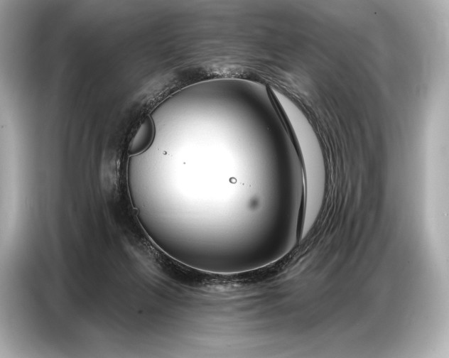 X0000086880263200704300943