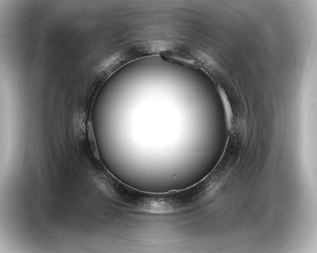 X0000086880264200704300943